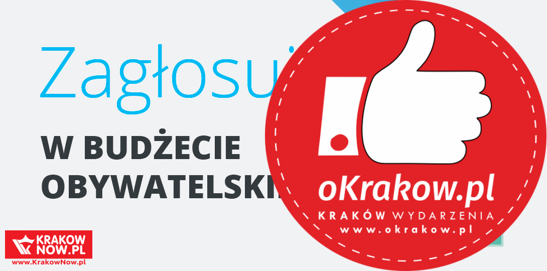 6 1 - Zagłosuj w Budżecie Obywatelskim Województwa Małopolskiego