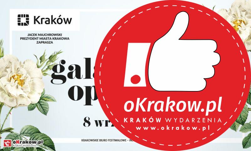 gala operetkowa nowa huta krakow 2018 1 - Dworek Street Food Park w Krakowie zaprasza na piątkowe seanse w kinie plenerowym