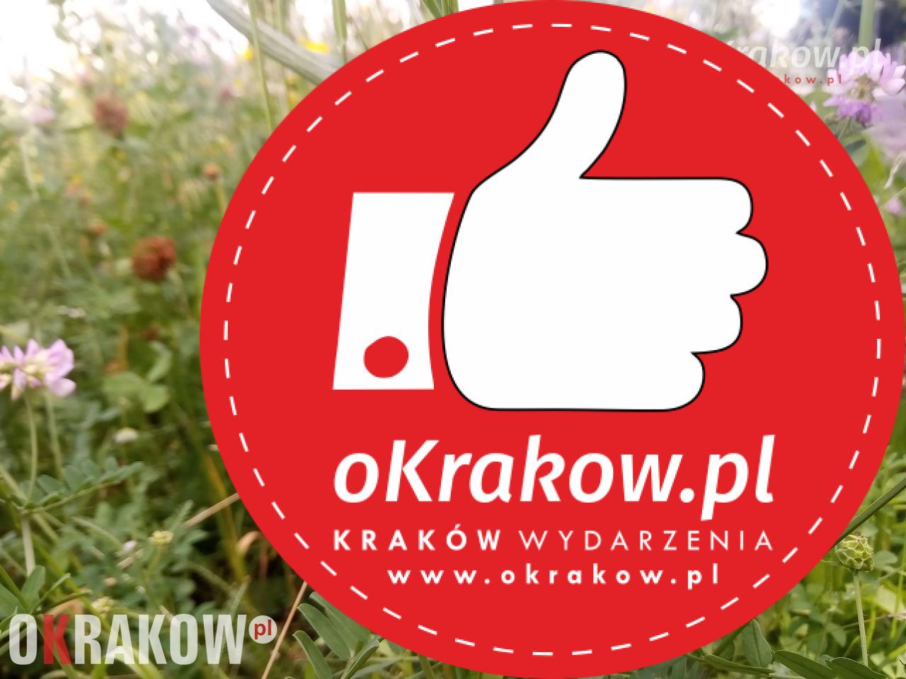 krakow - Rośliny, zwierzęta i my, czyli o krakowskich kwietnych łąkach