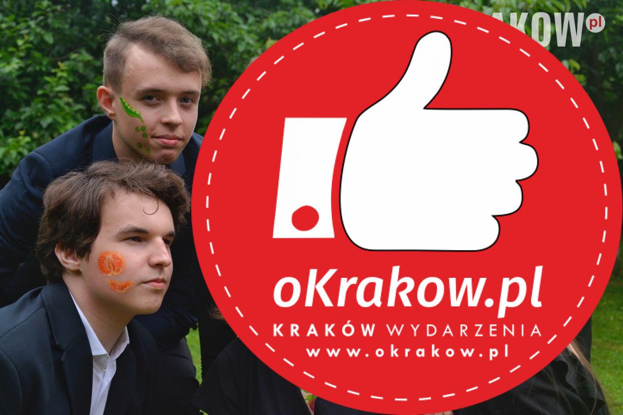 zespol krakow - Projekt społeczny krakowskich licealistów