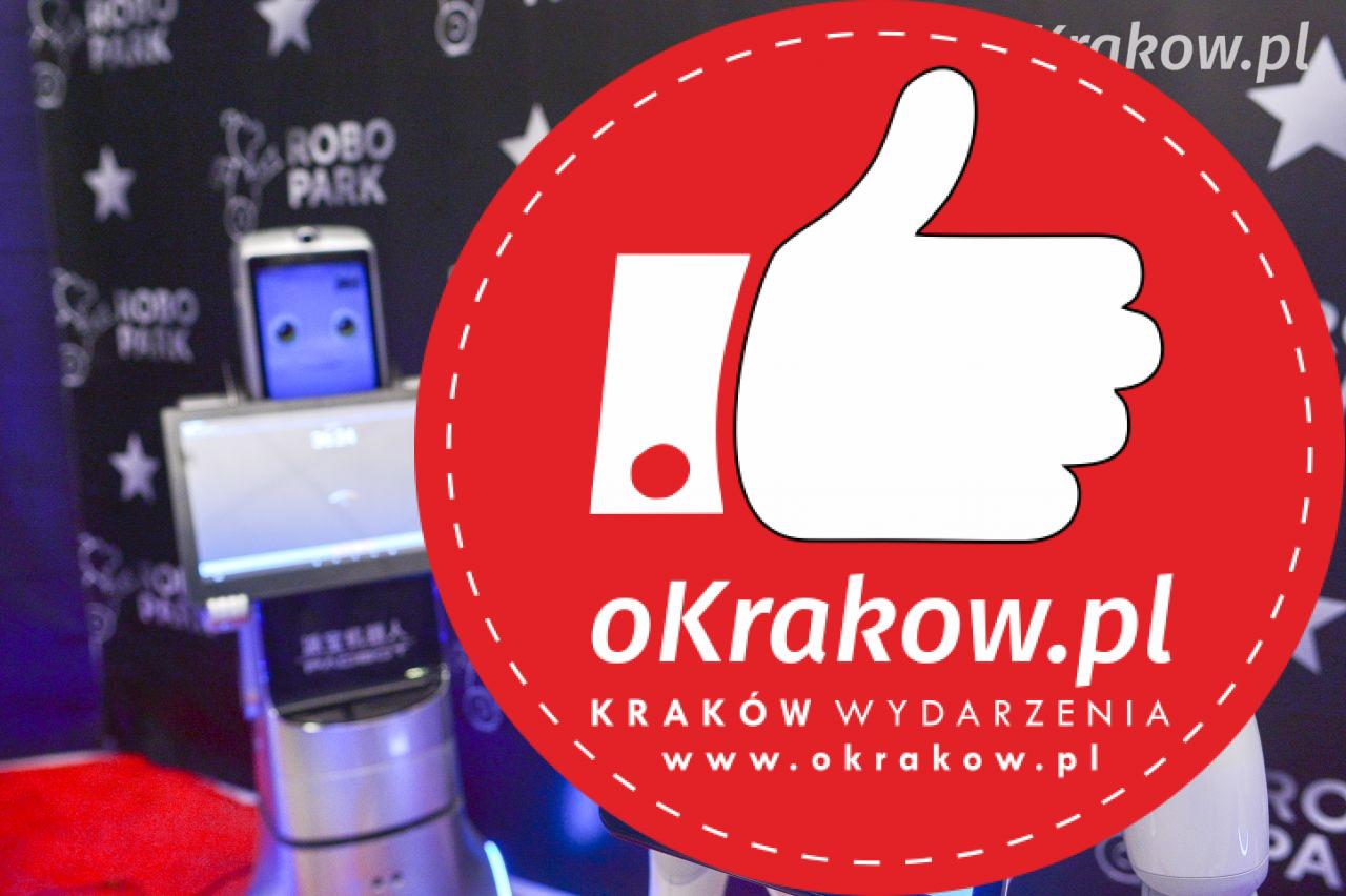 wystawa robotow 1 - Zaproszenie na międzynarodową wystawę robotów Robopark w Centrum Serenada w Krakowie