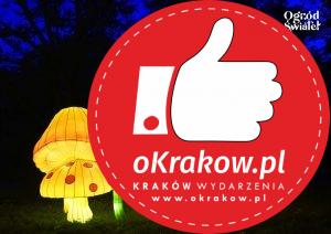 ogrod swiatel 11 300x212 - Ogród Świateł od piątku 5.11.2021 ponownie w mieście Kraków