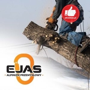ejas6000 300x300 - Przycinanie drzew, usługi arborystyczne - EJAS