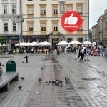 parada 19 150x150 - Fotorelacja z IX Krakowskiej Parady Szkolnych Patronów