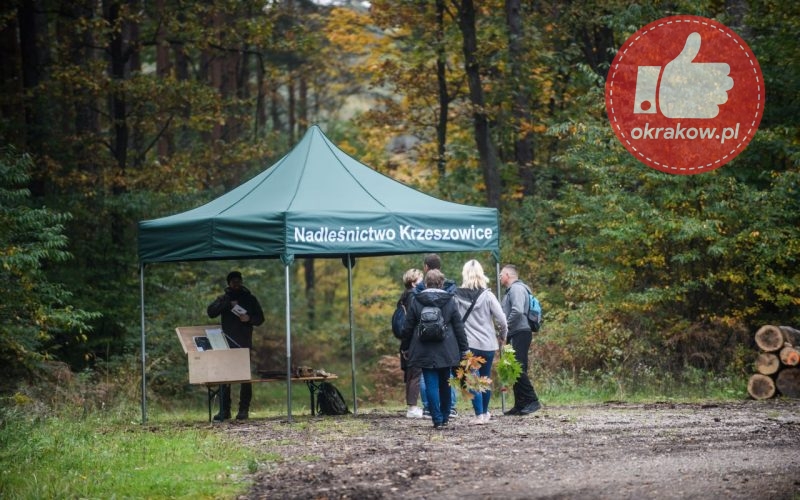 nadlesnictwo krzeszowice sadzenie 800x500 - Pracownicy fabryki Lajkonika posadzili 200 drzew w Nadleśnictwie Krzeszowice