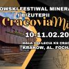 facebook tlo 2 1920 x 1080 px 100x100 - CRACOVIA MIN - Festiwal Minerałów i Biżuterii w Hali Cracovia!
