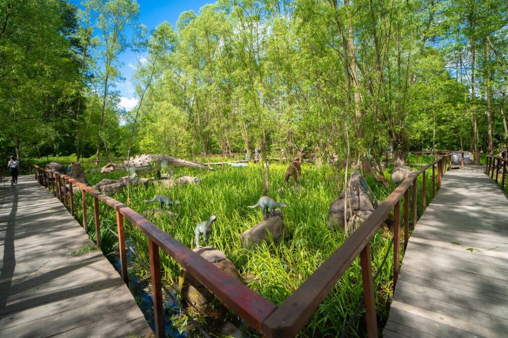 Park rozrywki Zatorland