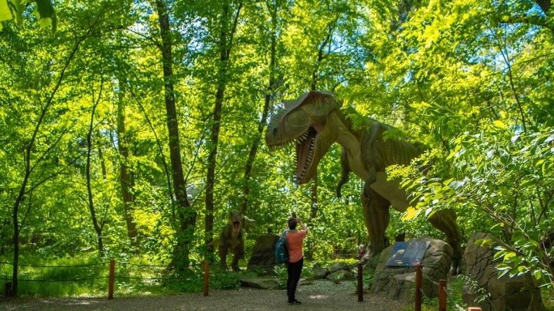 Dinozaury po zmroku w Zatorlandzie