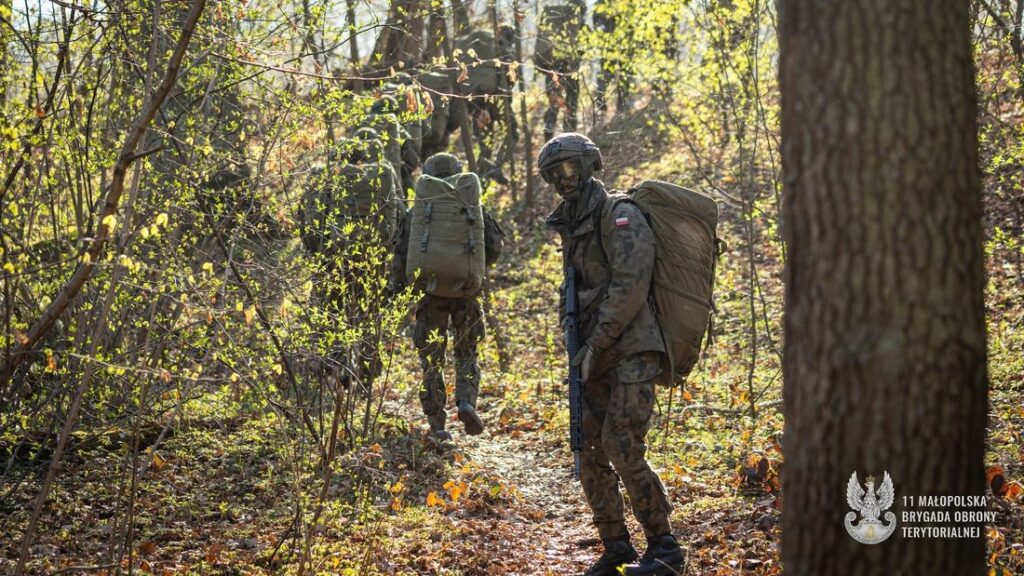 Wakacje z WOT - żołnierze w lesie