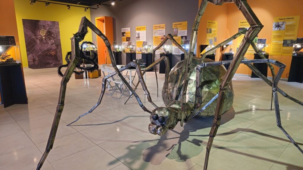 wystawa pająków i skorpionów