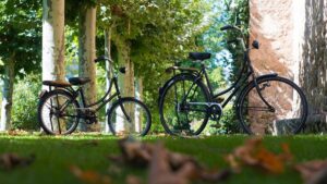 rowery w lesie